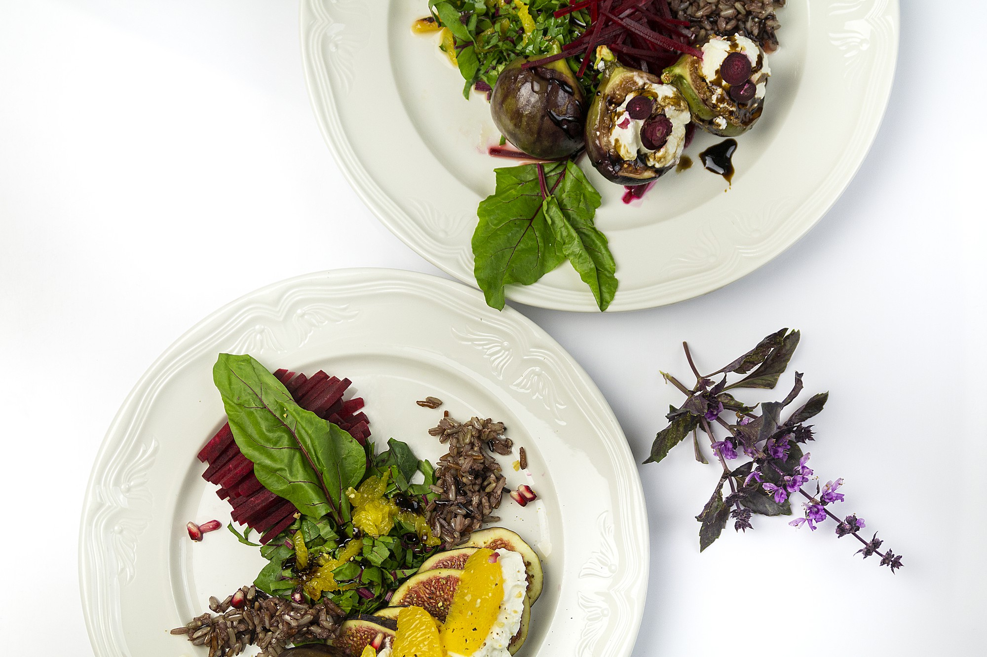 Close-up plated entrée with herbs